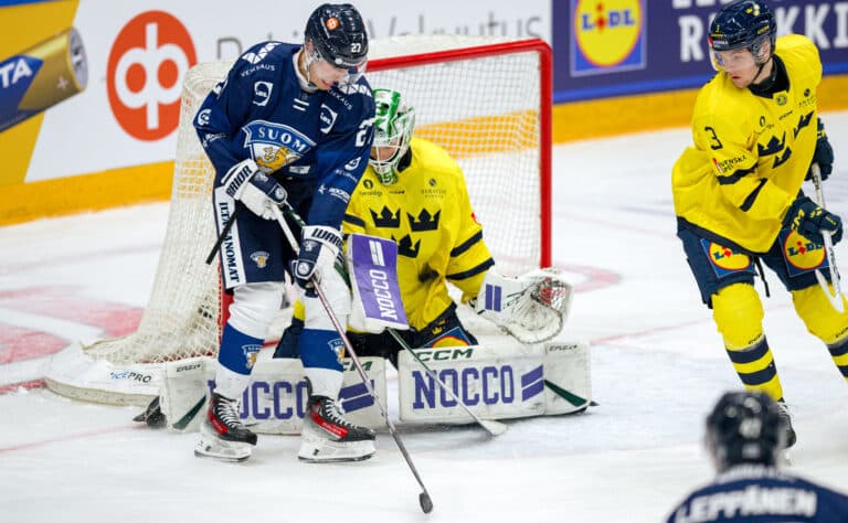 Leijonien kohtalo selviää – onko uuden satutarinan paikka?