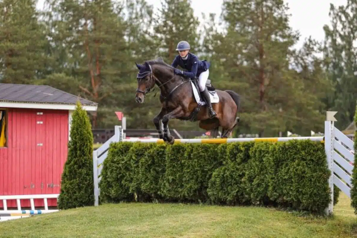 Hevosten rääkkääminen puhuttaa Pariisin olympialaisissa – ”Hevosta pitää osata lukea”