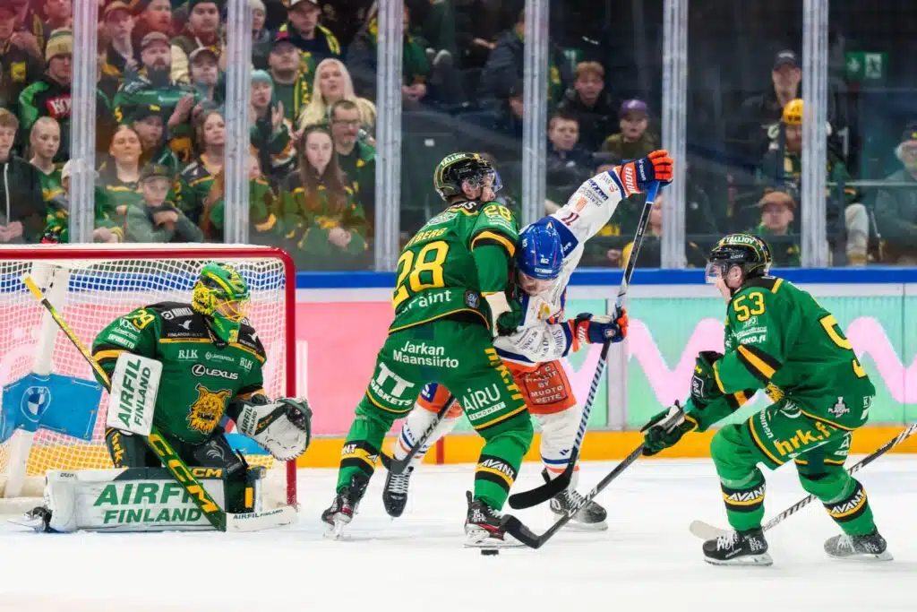 Ilves-ottelun katsomosta bongattiin Bull Mentula – MTV:n selostaja ällistyi itsekin siitä, mitä suusta päästi 